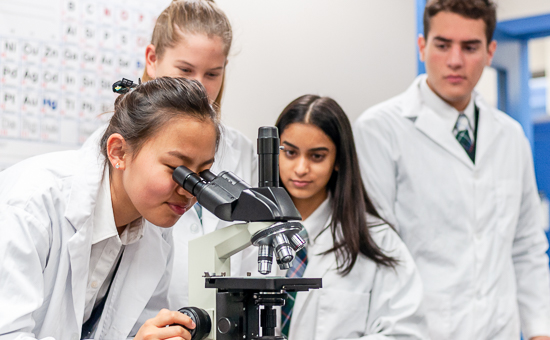 Alexander Academyの画像4