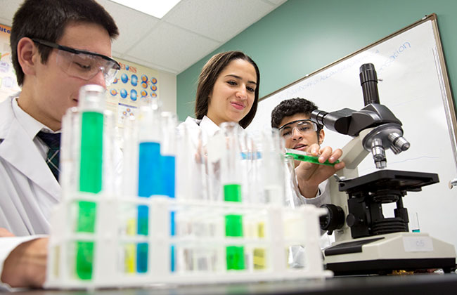 Alexander Academyの画像9